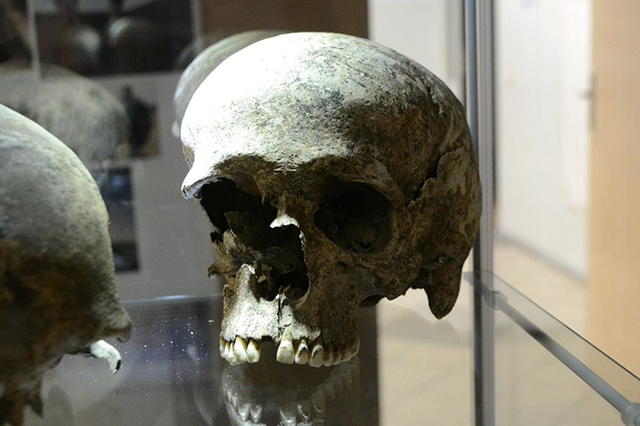 Eko-Okna (Эко-Окна), производитель окон из ПВХ, алюминия и дерева, археологическая находка Eko-Okna (Эко-Окна), производитель окон из ПВХ, алюминия и дерева, археологическая находка