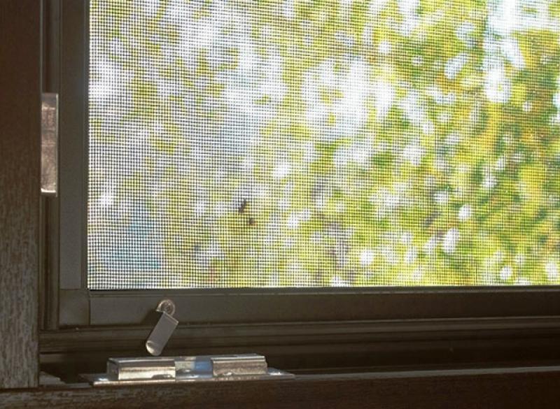 Процедура заказа пластиковых окон