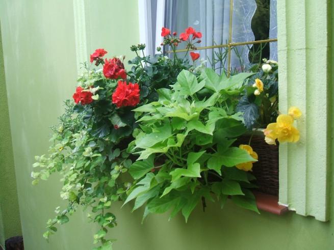 Внешний цветочный декор пластиковых окон, заоконное украшение подоконника