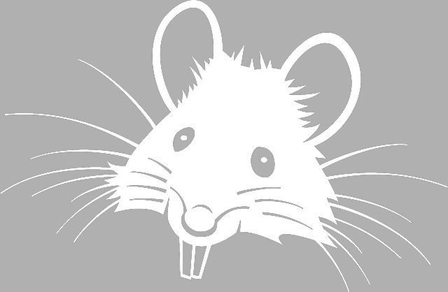 Трафареты на Новый год 2020 Год Крысы