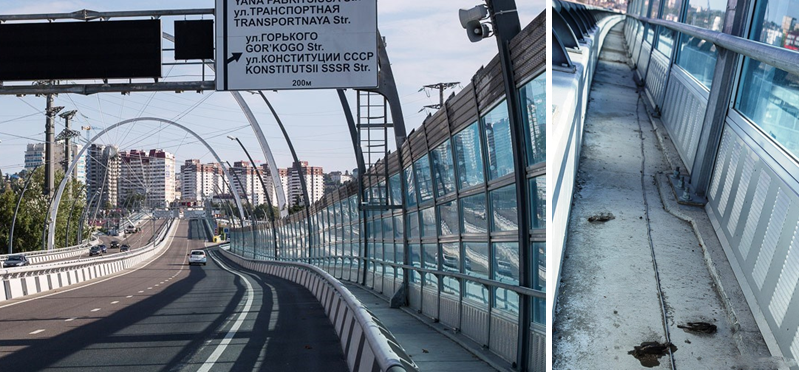 Фото: шумозащитные экраны вдоль автотрассы на Сочи стали причиной гибели птиц, © 