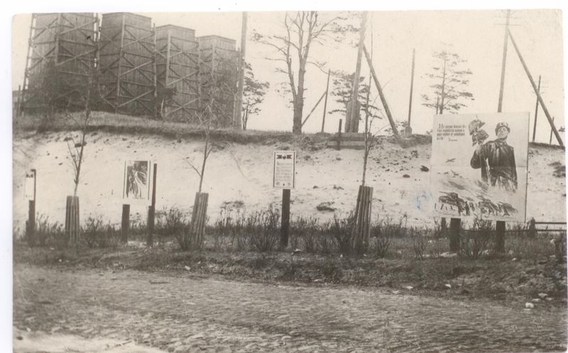 Борский стекольный завод, территория
