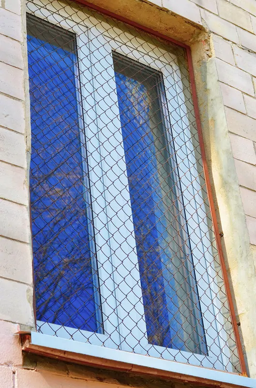 Фото: сетке-рабице место на заборе, но не на окне. © Фoтобанк Лори 