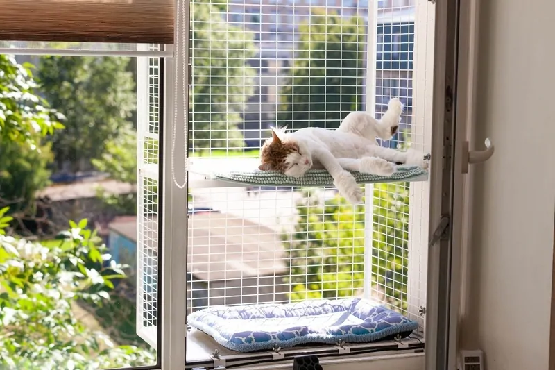 Индивидуальный балкон для кошек. © Компания Кошка на Окошке