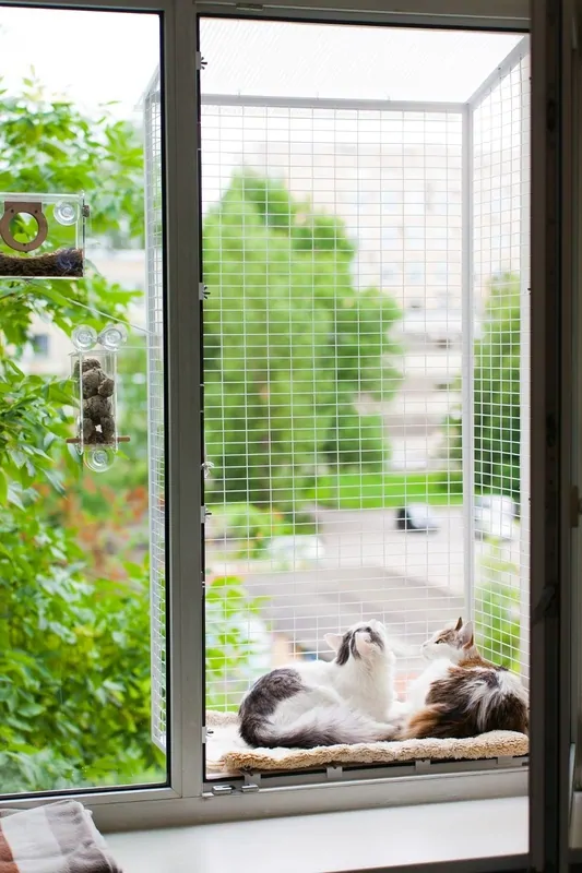Безопасный балкон для кошек © Кошка на окошке