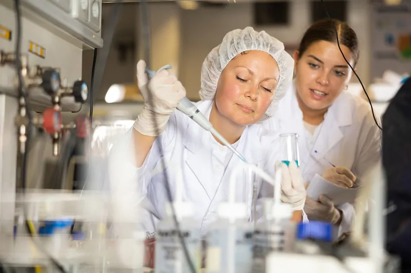 Фото © Фoтобанк Лори    