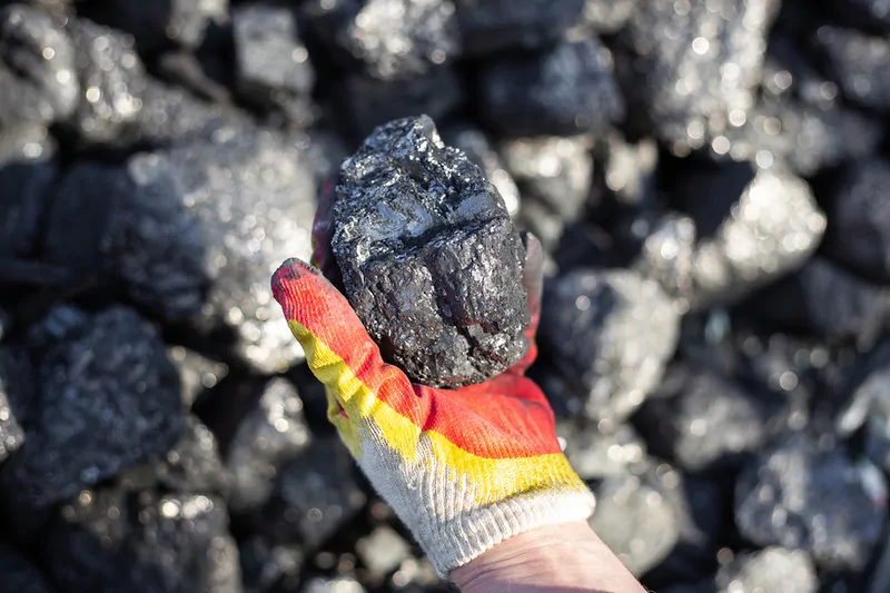 Фото © Фoтобанк Лори 