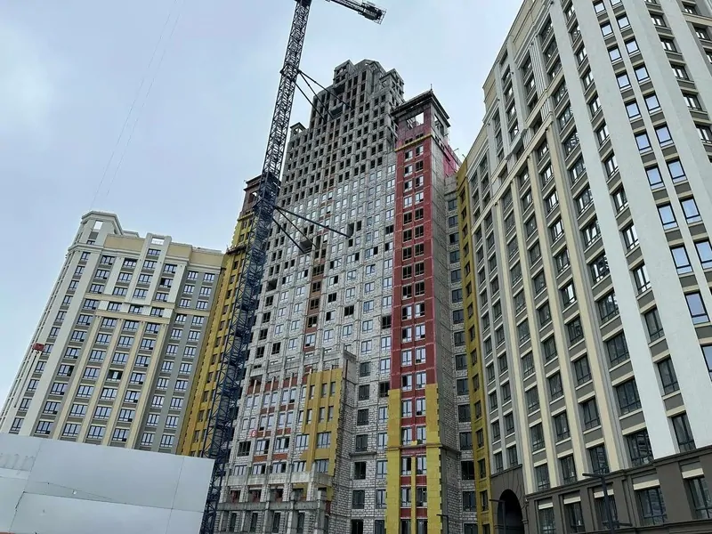 © профайн РУС  