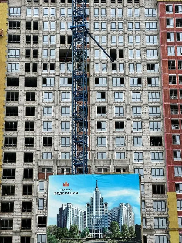 © профайн РУС  