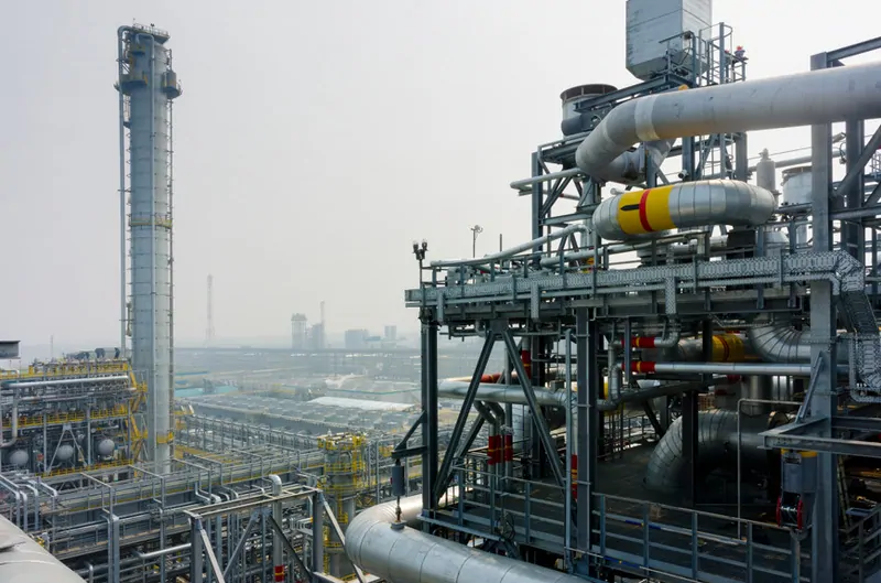 Фото © Фoтобанк Лори    