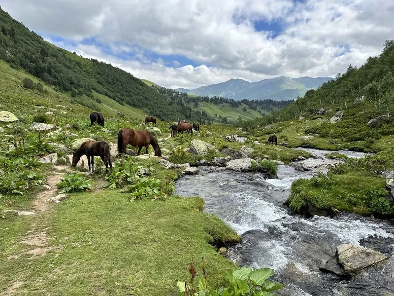 Фото © оknamedia 