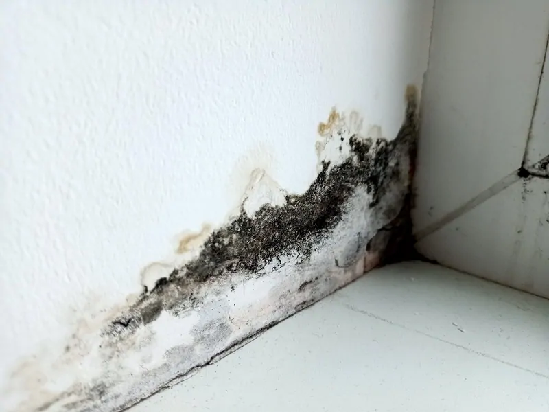 Монтажный шов окна требует ремонта © оknamedia 