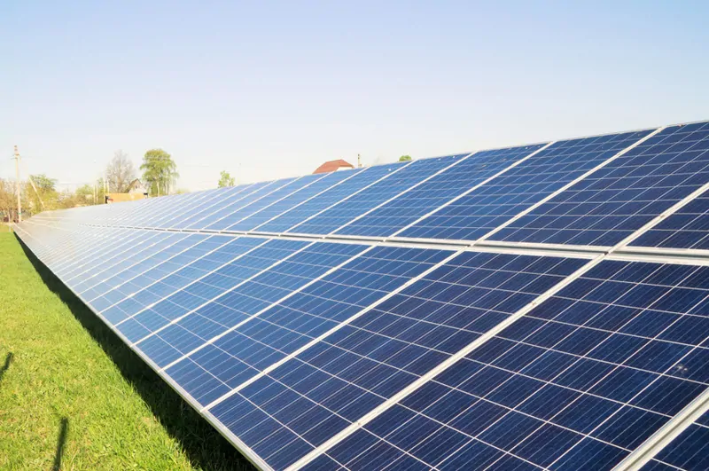 Фото © Фoтобанк Лори    