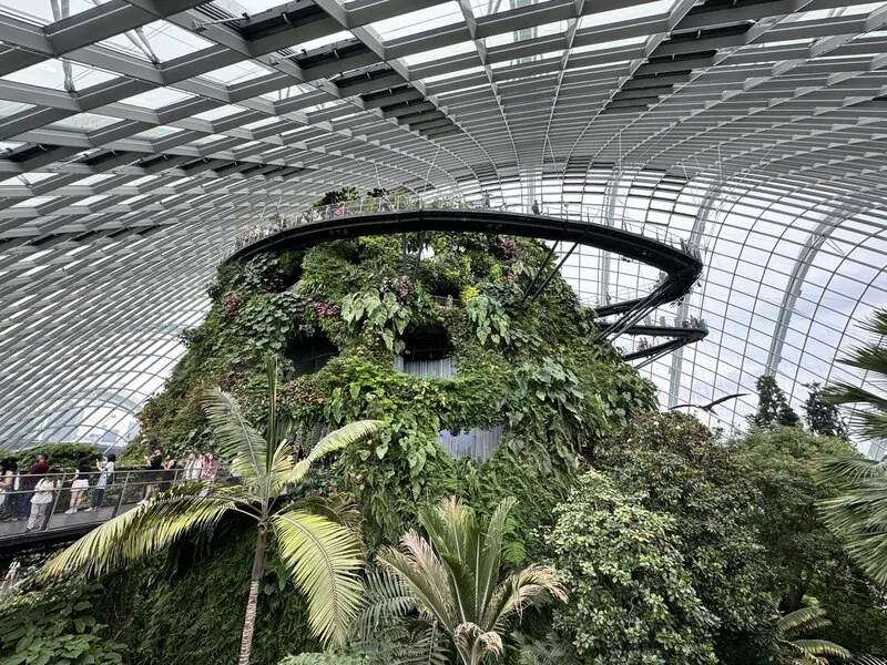 Панорамное остекление и много зелени - архитектура будущего © оknamedia 