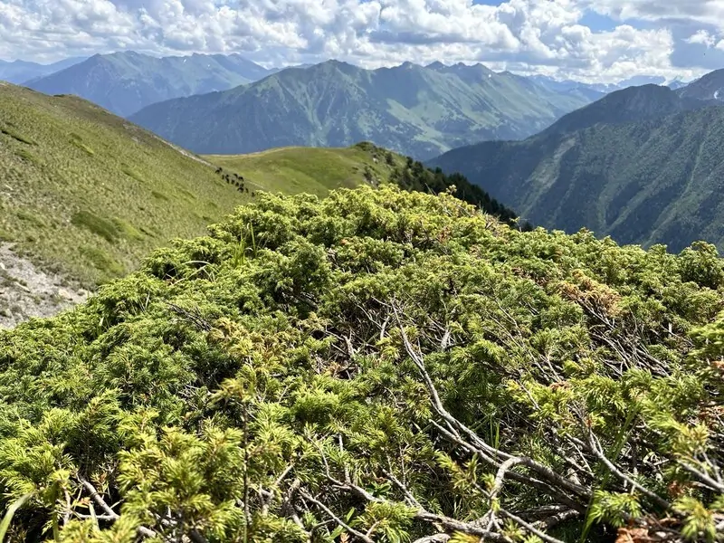 Фото © оknamedia 