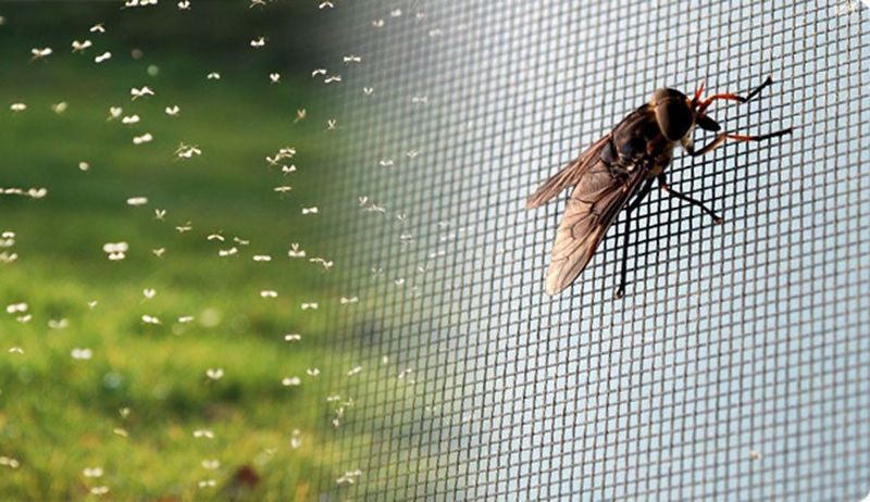 Фото: москитная сетка на окне защитить от насекомых и тополиного пуха, © depsitphotos.com